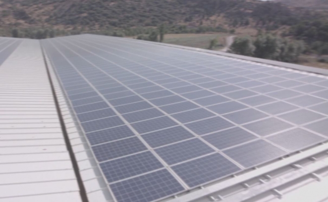 Dünyanın en yeşil binası Afyonkarahisar'da